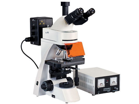 Mikroskop epifluorescencyjny L3001 o szerokim polu widzenia z transmisyjną obserwacją w terenie