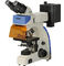 Mikroskop epifluorescencyjny L3001 o szerokim polu widzenia z transmisyjną obserwacją w terenie