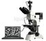Oprogramowanie do analizy obrazów metalograficznych MetaVision do mikroskopów metalurgicznych