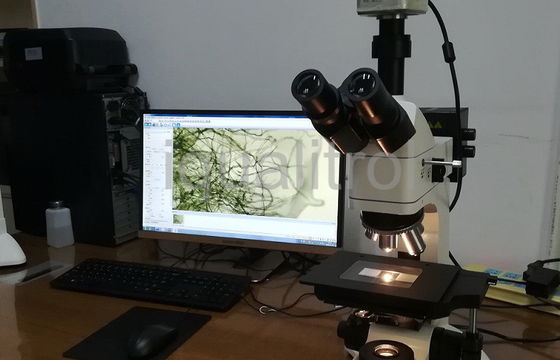 Trinocular Wide Field Eyepiece Reflektowany i przesyłany mikroskop metalurgiczny